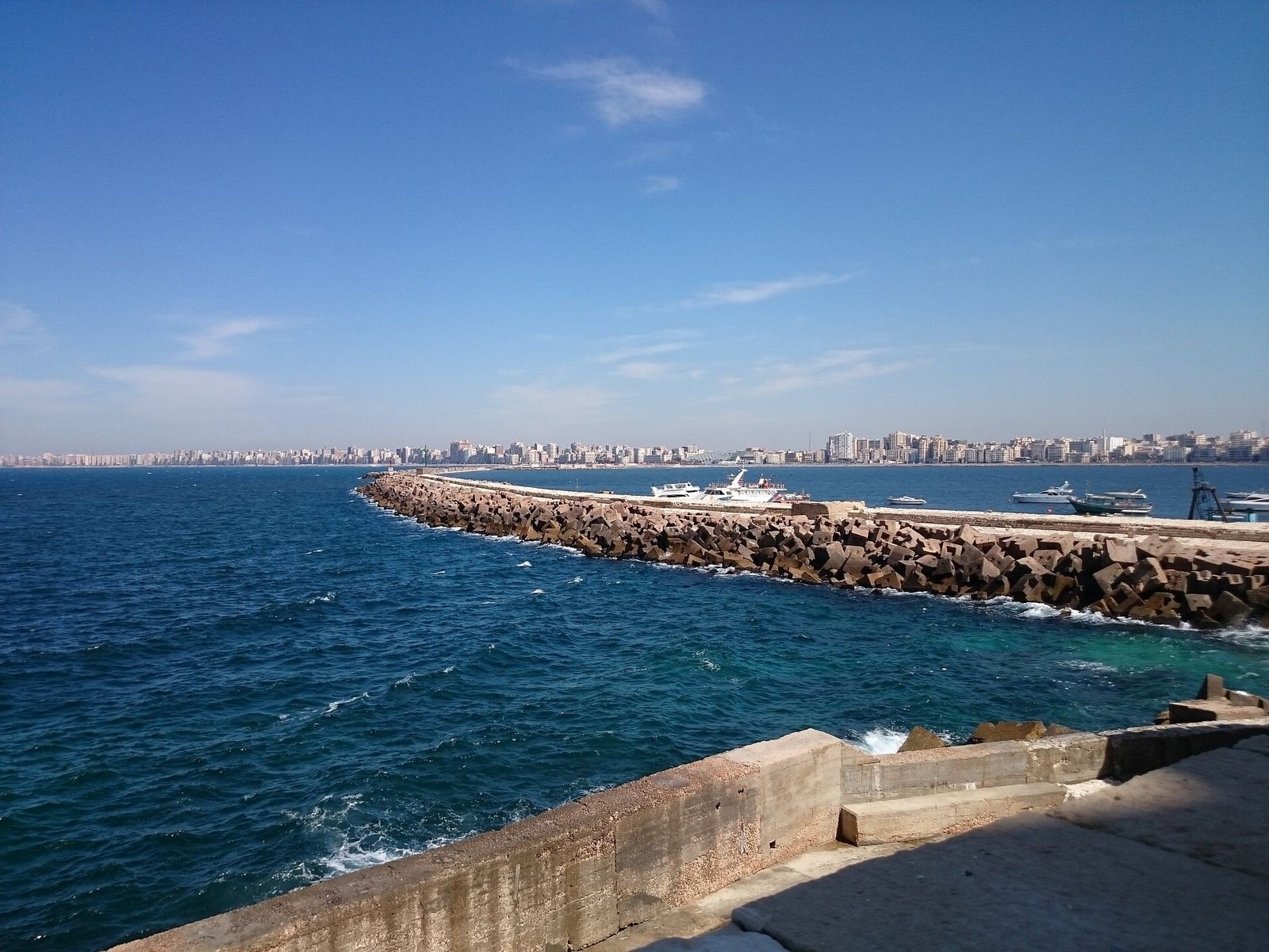 Car rental in Alexandria